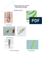 Microorganismos de Agua 1.biologia