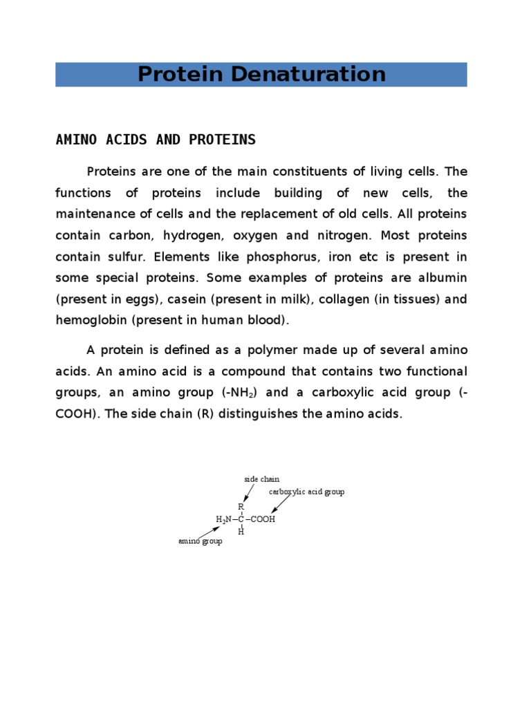 Protein Denaturation PDF Denaturation (Biochemistry) Biomolecular