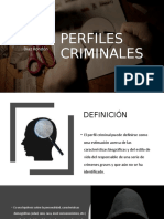 Perfiles Criminales