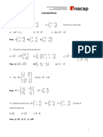 Guía 2 Matrices PDF