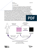 Group 1: Microbes That Affect Our Body Weight