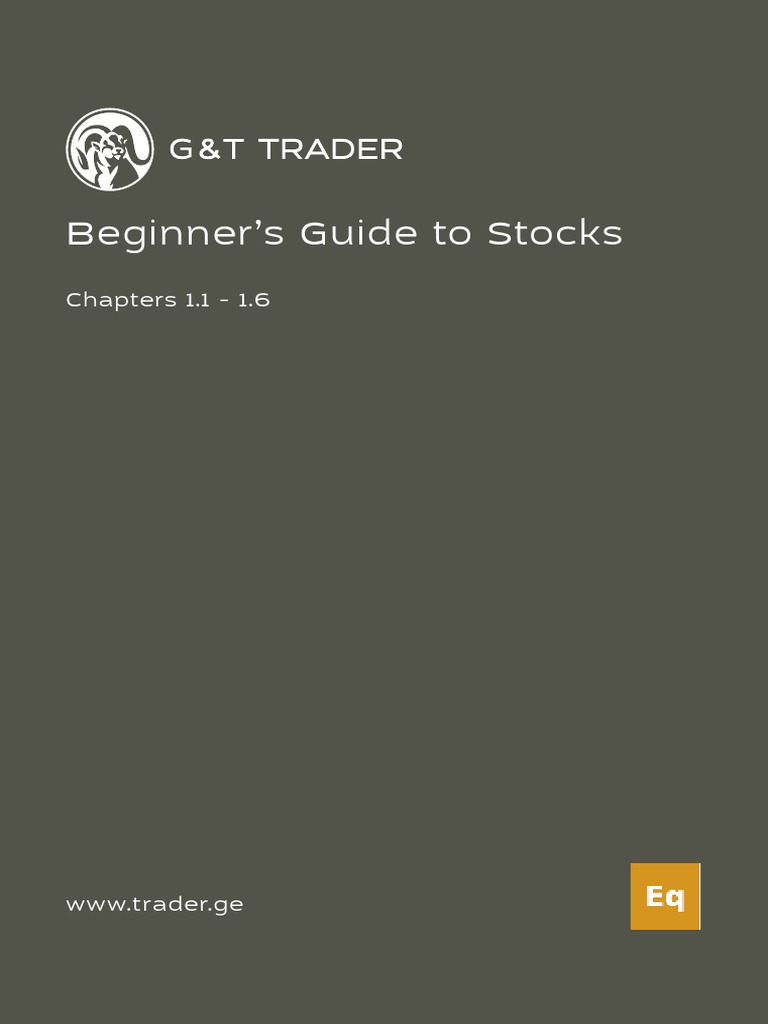 Beginner's Guide to Stock Investing | PDF | Dividend | Price–Earnings Ratio