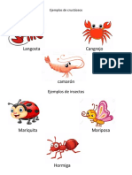 Ejemplos de Crustáceos1
