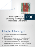 Present and Emerging Strategic Human Resources Challenges: Meeting