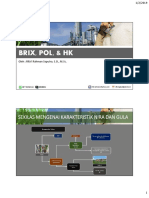 02 Brix & Pol.pdf
