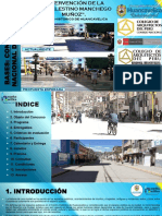 Manchego Rbases PDF