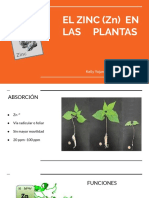 Presentación Sin Título PDF