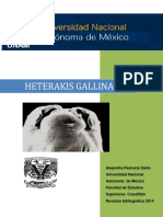 Heterakis Gallinarum