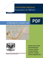 Strongyloides SP