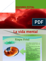 POWER Psiquismo Fetal 2