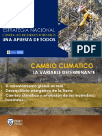 8 DNBC - Presentación Seminario IF - Medellín 2020 PDF