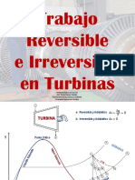 4-Trabajo Reversible PDF