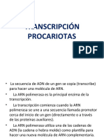 T9. Transcripcion Procariotas