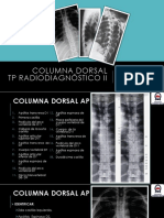 Columna Dorsal radiologia