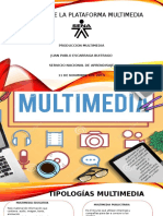 Definion de La Plataforma Multimedia