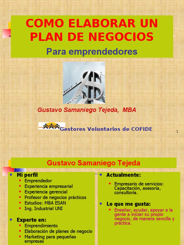 Guía para Elaborar un Plan de Negocios | PDF | Producto (Negocio ...