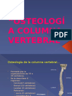 3.Osteología columna vertebral. Definida