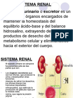 sistemarenal
