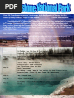 Download YellowStone by anon-371857 SN45783 doc pdf