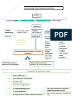 Mapa Conceptual Cancer Clacificación y Estratifacación