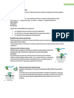 12 Clasificación Proteica PDF