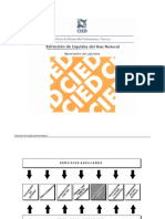 6 Gene Liq PDF