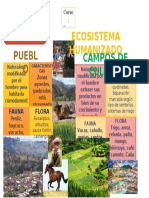 Infografia Cajamarca Diorama)