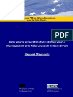 Etude Pour La Preparation D Une Strategi PDF
