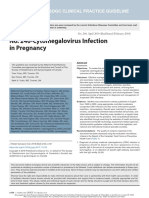 Citomegalovirus en Embarazo