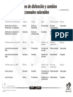 OST001 Patrones de disfunciones craneales