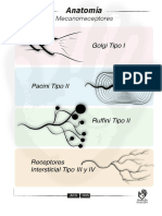 AGF005 Mecanorreceptores