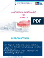Anatomical Landmarks OF Maxilla: Jss Academy of Higher Education & Research
