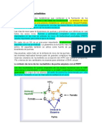 Metabolismo de Nucleótidos