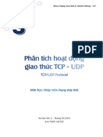 Lab 3 - TCP - UDP Protocol PDF