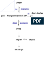 Glucose Pathways Linked