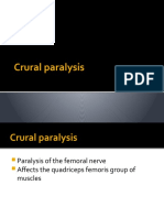 Equine Lameness