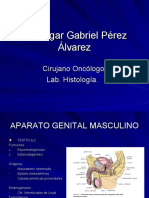 Presentacion de Aparato Genital