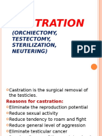 Castration: (Orchiectomy, Testectomy, Sterilization, Neutering)