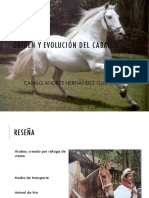 01 Historia y Evolución Del Caballo PDF