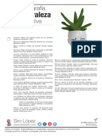 Bibliog Naturaleza Educativa PDF