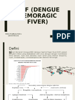 DHF (Dengue Hemoragic Fiver)