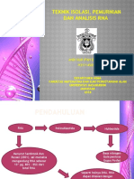 Teknik Isolasi Pemurnian Dan Analisis RN