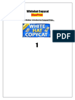 WhitehatCopyCatBlueprint 1