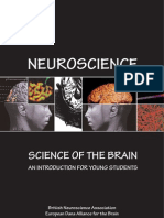 2 Neuroscience the Science of Brain