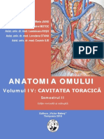 anatomia_ cavitatea toracica.pdf