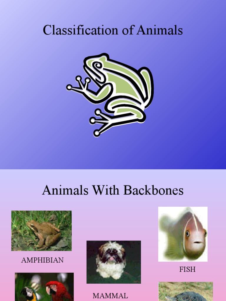 Classification of Animals A Guide to Vertebrates and Invertebrates