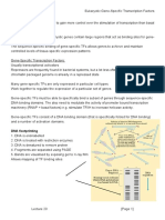 MBII - L20 - Transcription 4 - Eukaryotic Gene-Specific Transcription Factors