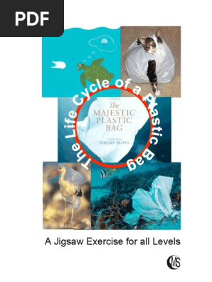 Jigsaw Activity