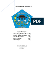 Alat Peraga Biologi 