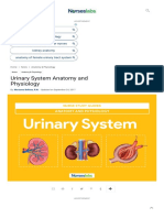 Urinary System Anatomy and Physiology - Study Guide For Nurses PDF